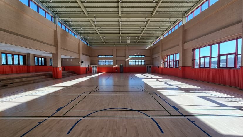 김포 감정초 체육관 증축공사 중 목수장공사